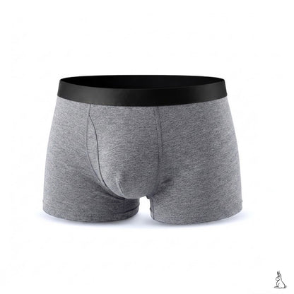 EXCLUSIVE 70% OFF + FREE GIFT 🎁 2026 Upgraded Men's All-Day Leakproof Boxer Briefs